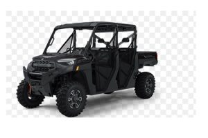 Buggys - disponibles - rechard rent car las terrenas