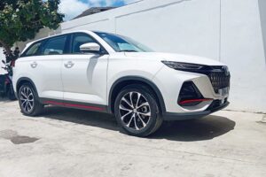 richard rent car las terrenas